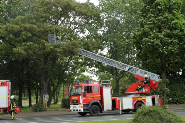 Drehleiter im Einsatz